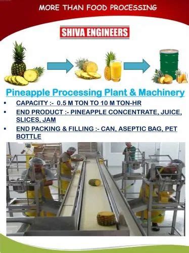 pineapple processing machinery|A comprehensive review of pineapple processing and its by .